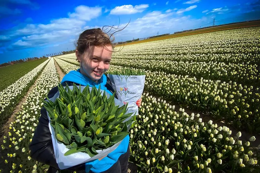 93250589 1432962986874633 9080393949960470528 o