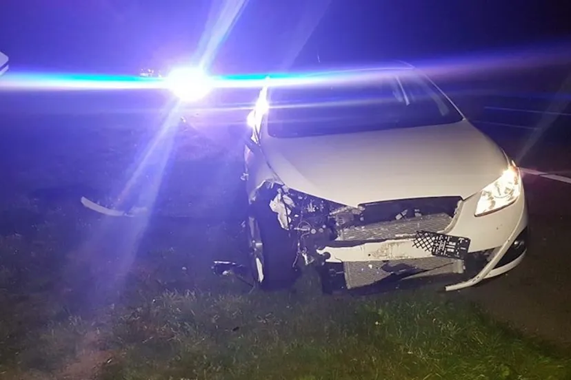 aanrijding met ree pol nopurk