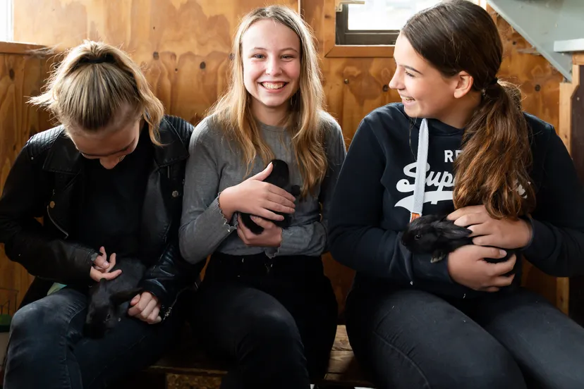 aeresemmeloord vmbo2020 22