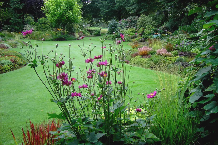 augustus wies de stekkentuin pict3094 doorkijkje