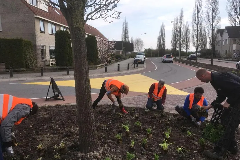 azc vrijwilligers at carrefournop