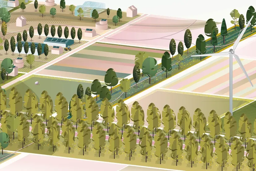 beeld bij persbericht nieuwe landschapsvisie herstelt bewaakt en versterkt flevoland