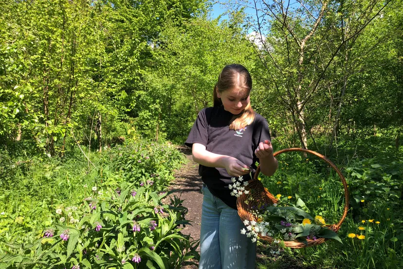 beleef het voedselbos 2024