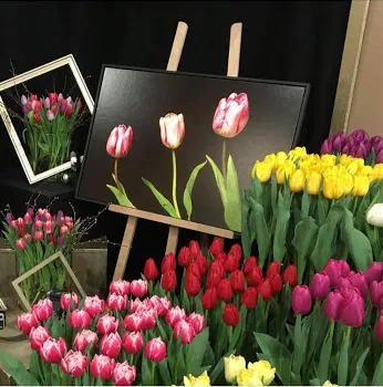 bloembollen vakdagen 8d1a9c34 0a54 4cf1 abd8 d237d73a7c81