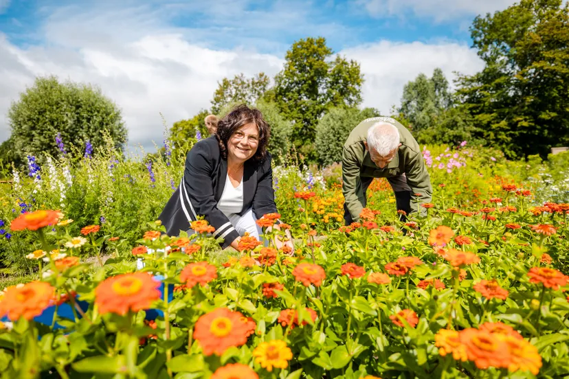 bloemen plukken in pluktuin
