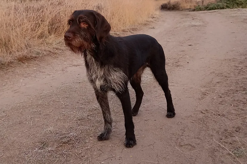 bram img 20220108 wa0004