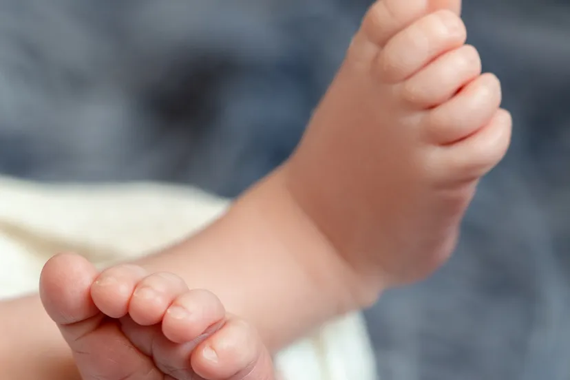 close up of small baby legs the sleeping newborn boy under a white knitted blanket lies on the blue fur newborn 14 days