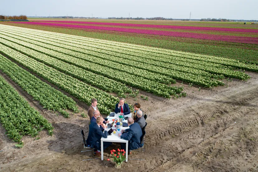 collegevergadering tulpenveld 1