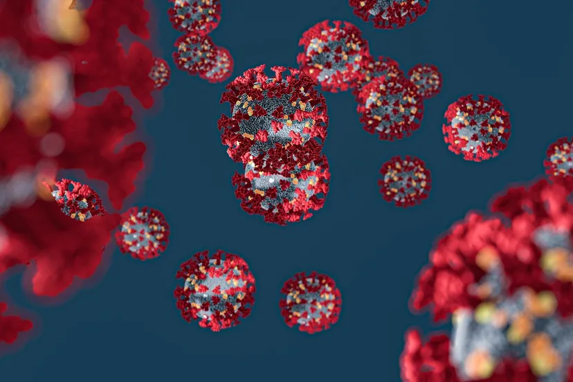 corona virus 4932576 1920