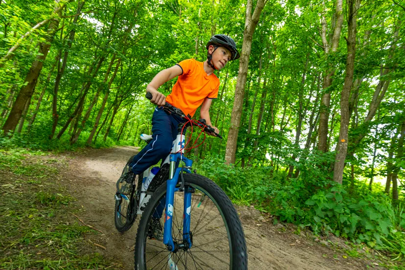 crossen door de bossen maarten feenstra