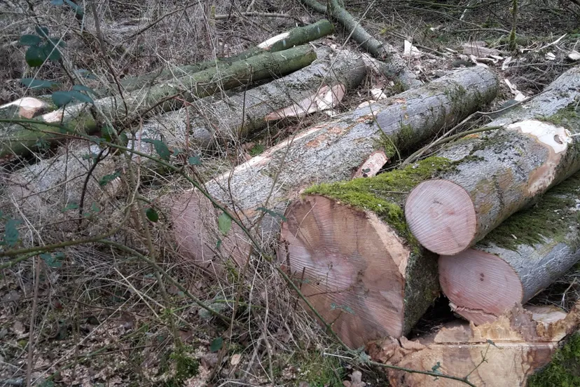 d1meckiwkaaisg7jpg large