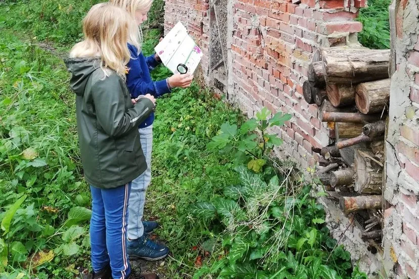 d3643573 c988 4e15 b8a7 feb6ae2c626c e1602014509750