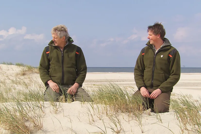 d6dewfox4amgdnejpg large