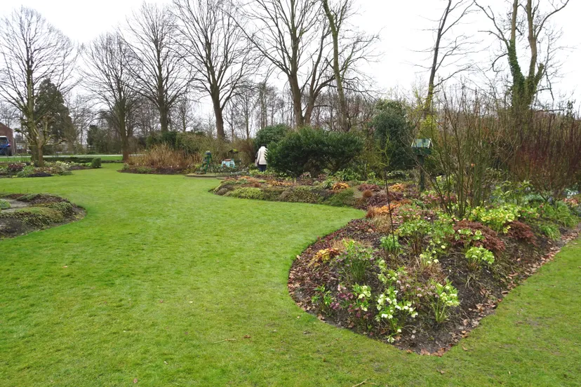 de stekkentuin dcs00687 mooi