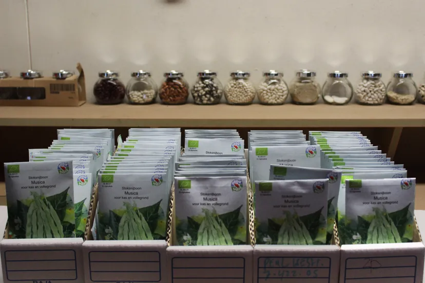 de zaderij2 mhpublicatiesnl