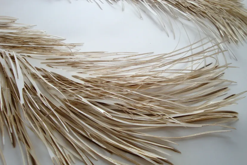 detail pleureuses ina fekken foto