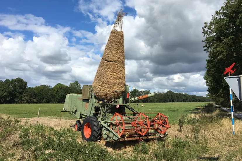 dichter op het land 2019 img 5731