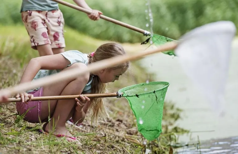 dieren zoeken 843caa31 71338bc25b68