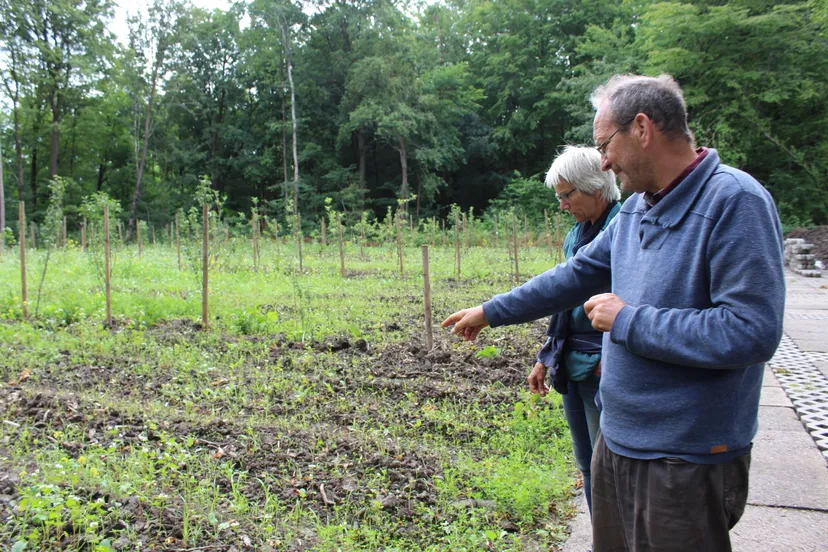 digni en truus bij de strokenteelt mhpublicatiesnl