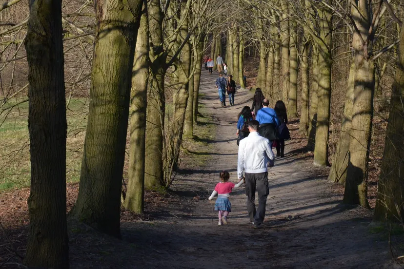 dsc 0692 e1457979610649