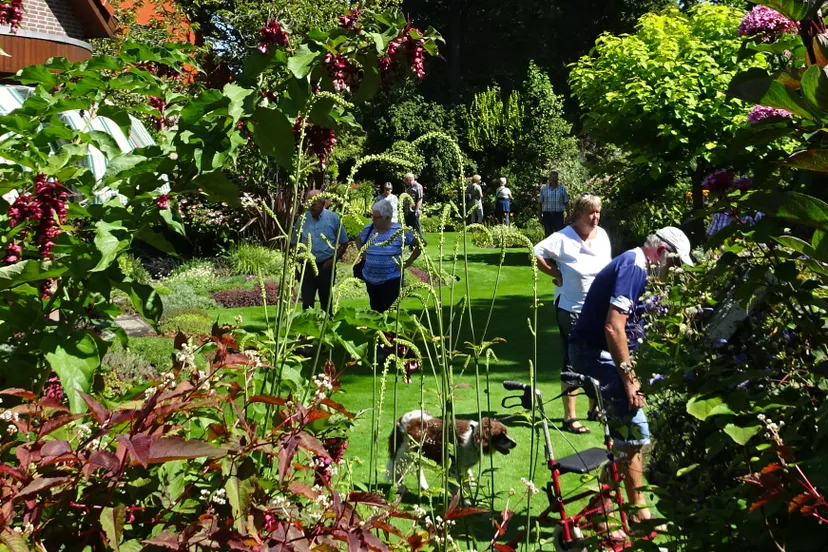 dsc04682 bezoekers 2