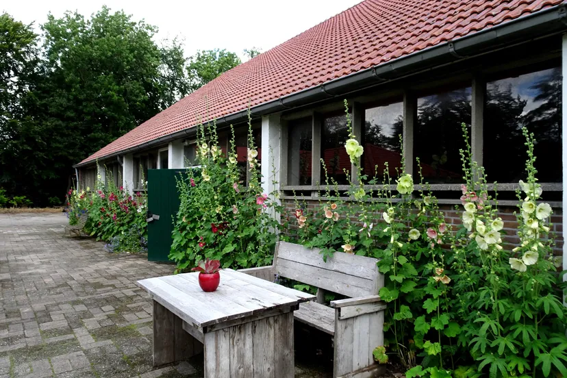 dsc06922 warm welkom stokrozen muur de stekkentuin a