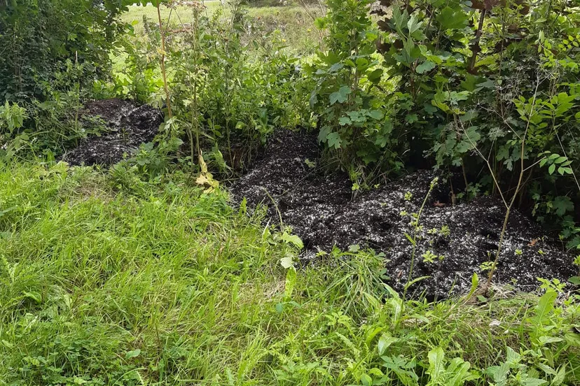 dumping wiet potgrond egriwv5xsau unl