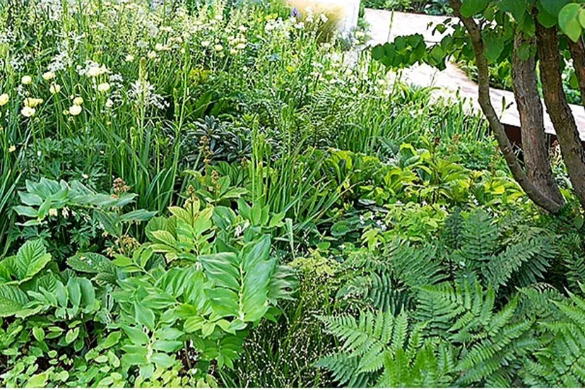 eigen foto groei en bloei nop