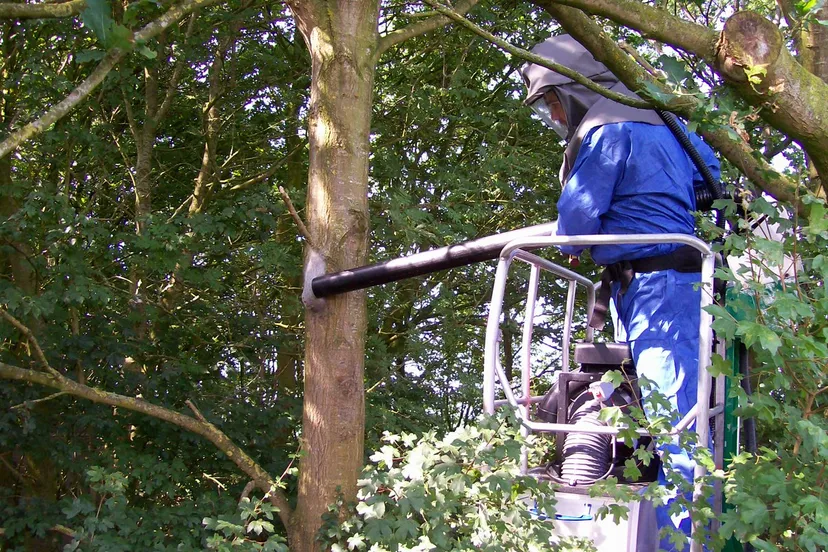 eikenprocessie d9lr fw4aa4agj