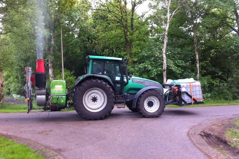 eikenprocessierups bestrijding