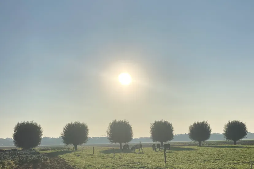 emmeloord 2020 img 2827