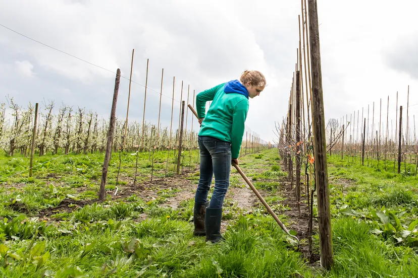 emmeloord mbo 04 2016 5501