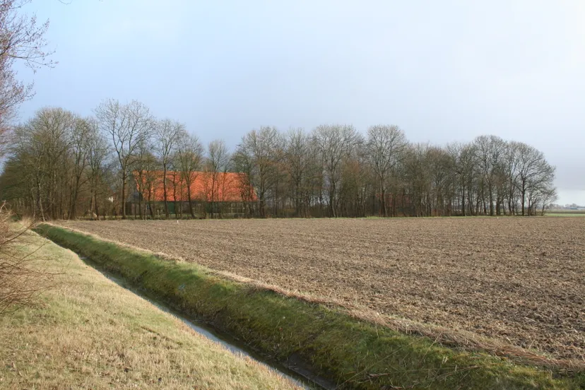 erfsingel karakteristiek espel