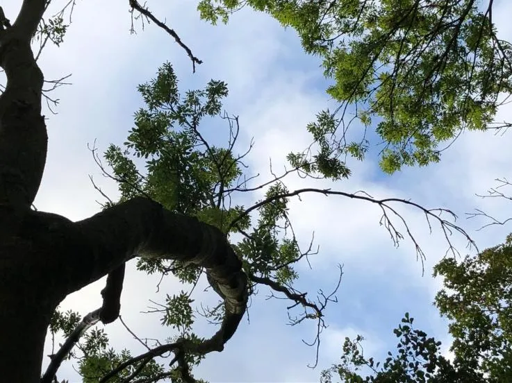 essentaksterfte gemeente noordoostpolder