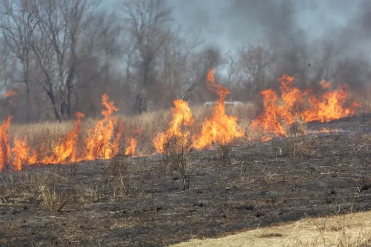 fire burn field 725x483