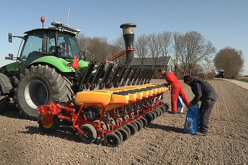 flevoveldboon 1fotostudiowierd