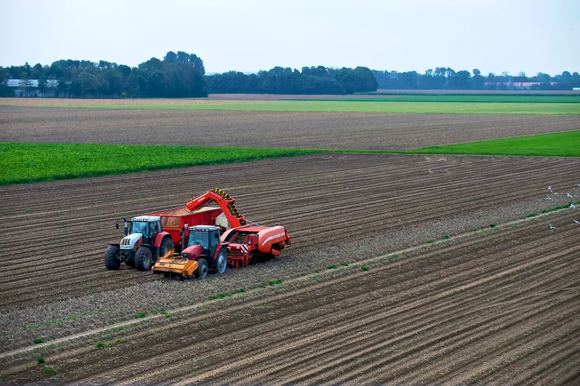 foto aardappelen rooien
