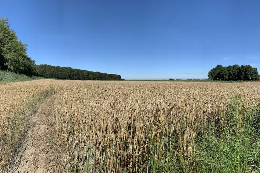 foto oostkant dronten