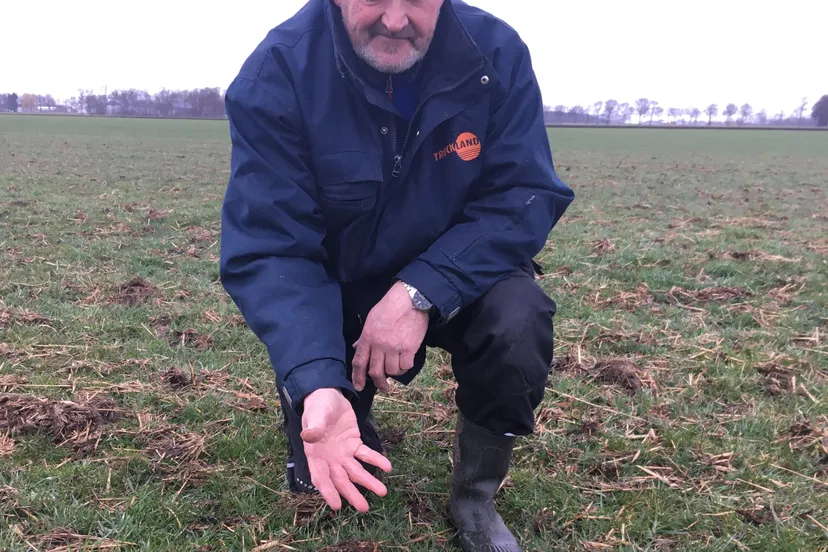 foto persbericht 1e kievitsei