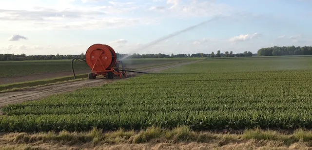 fotoberegeningtulpenwebsite 1