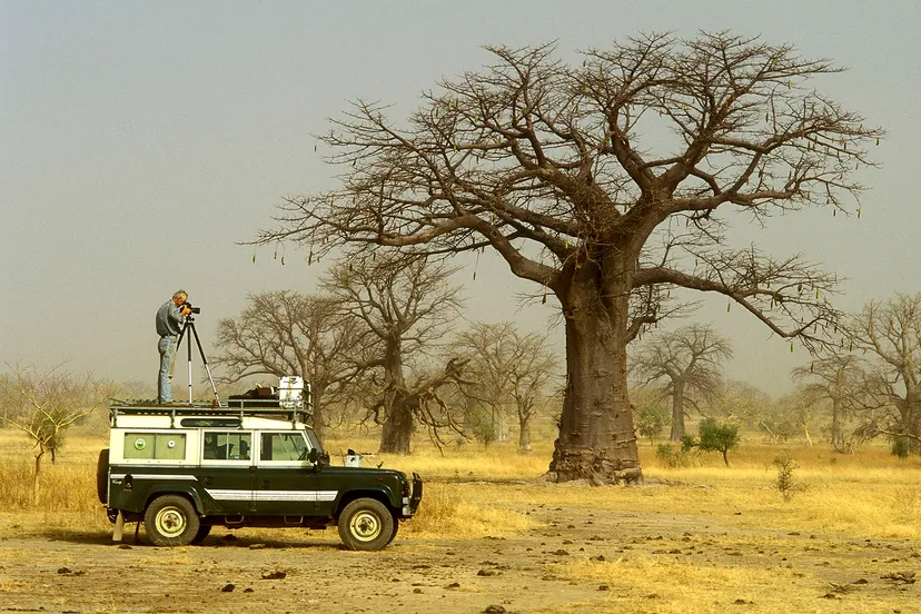 fotograaf fred hoogervorst met een baobab foto fred hoogervorst