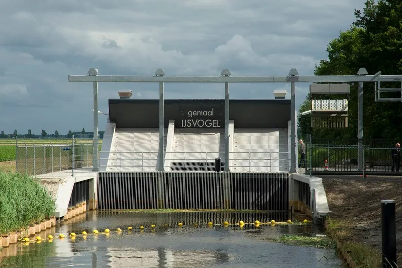 gemaal ijsvogel tollebeek zuiderzeeland
