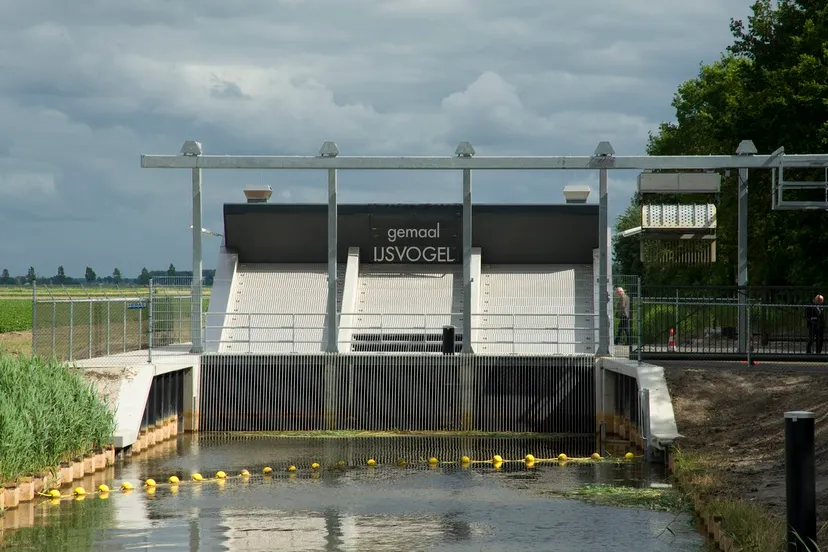 gemaal ijsvogel tollebeek zuiderzeeland