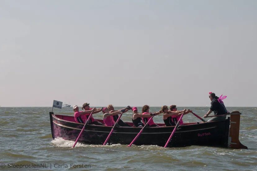 gia light makkum 2016 02