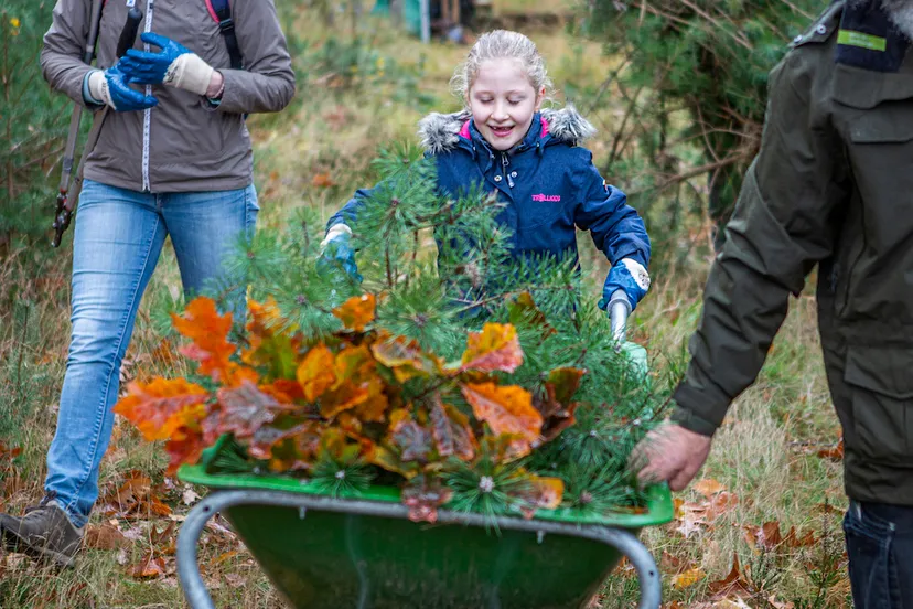 groen vrijwilligerswerk2