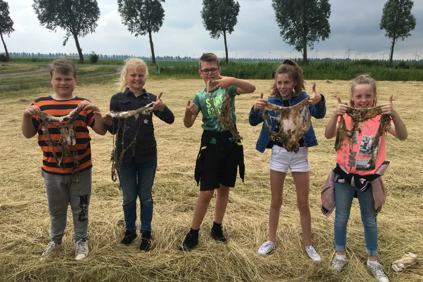 grondgezond 2019 img 4758