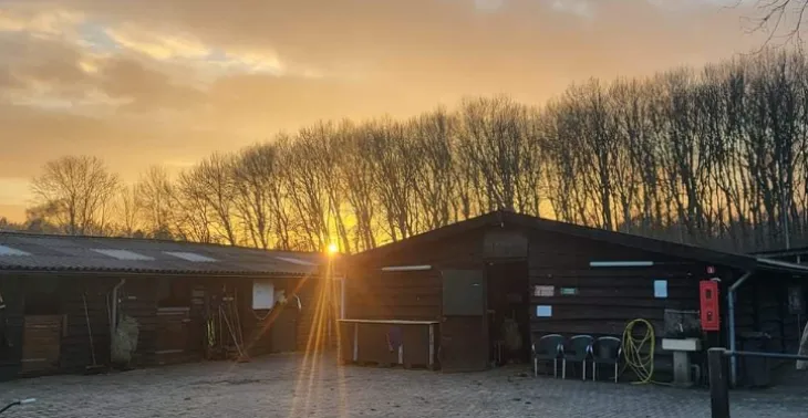 header help onze ponyclub wordt bedreigd in haar voortbestaan