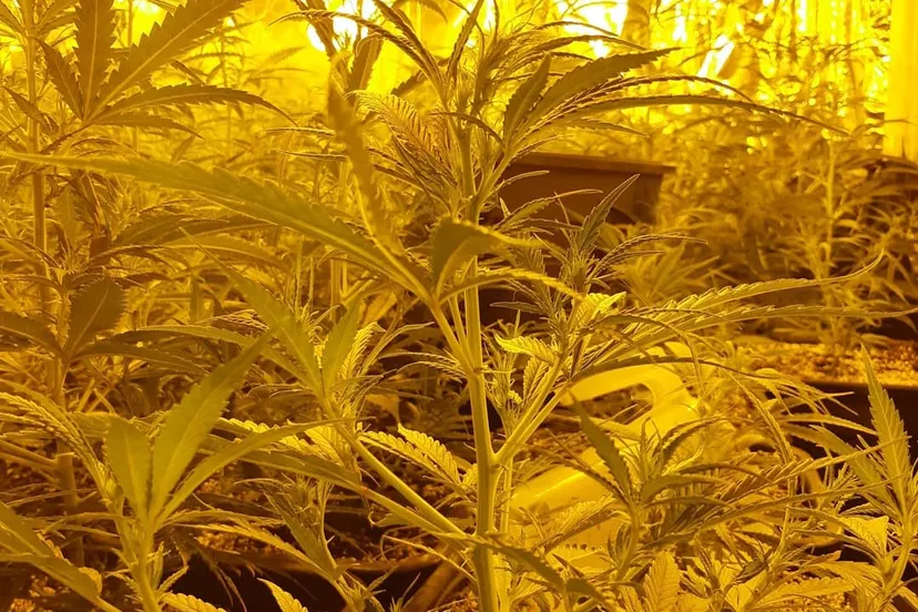 hennep fb politie nop urk