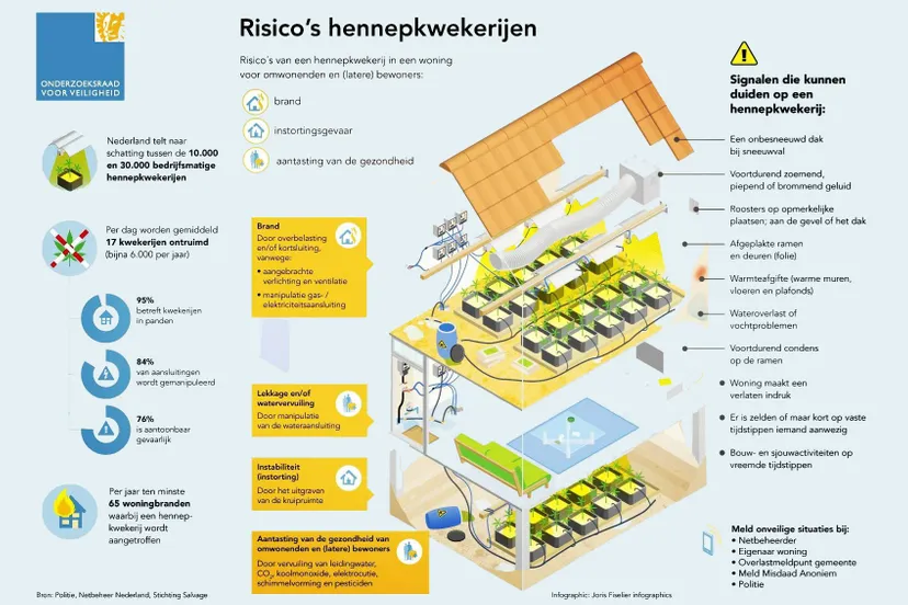 hennepteelt in woning salvage