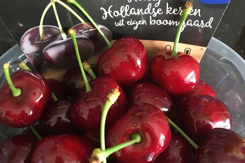 hoekstra kersen img 8102